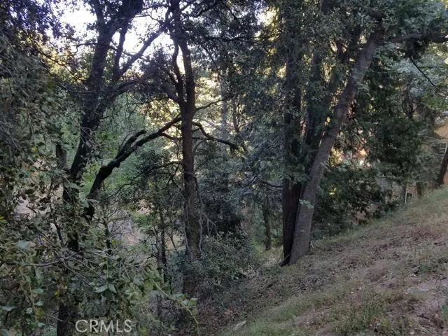 0 Edelweiss, Crestline, California 92325