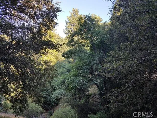 0 Edelweiss, Crestline, California 92325