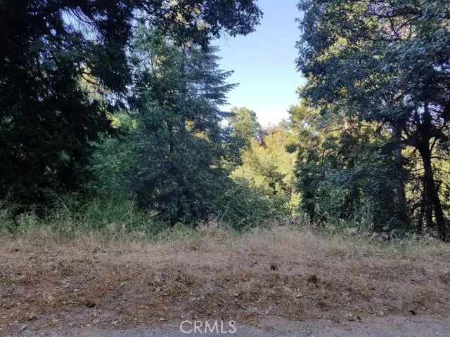 0 Edelweiss, Crestline, California 92325