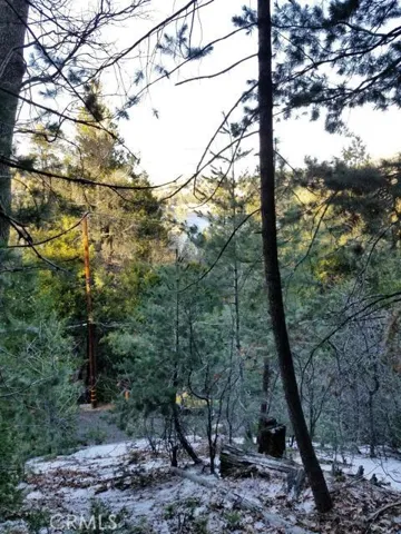 0 Horst Drive, Crestline, California 92325