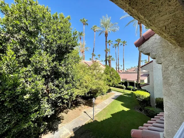 Patio Views 1