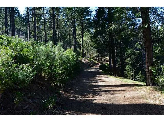 0 Lovers, Crestline, California 92322