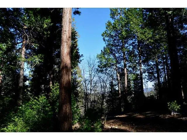 0 Lovers, Crestline, California 92322