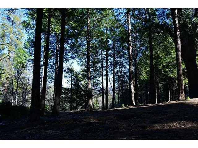0 Lovers, Crestline, California 92322