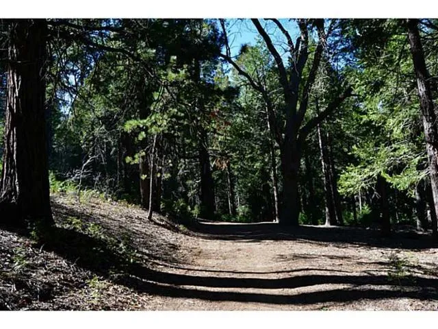 0 Lovers, Crestline, California 92322