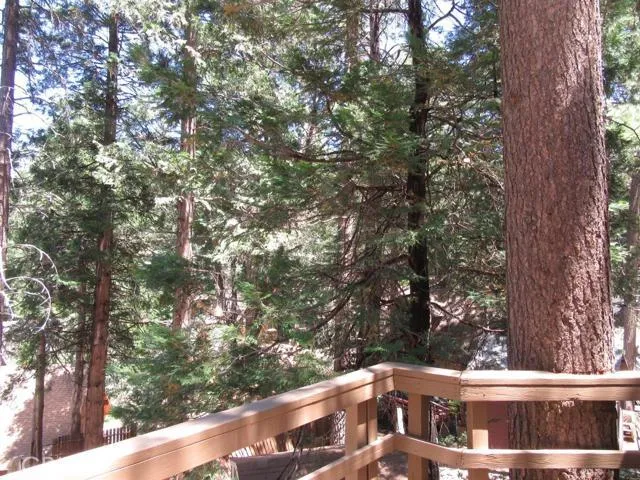 VIEW FROM DECK