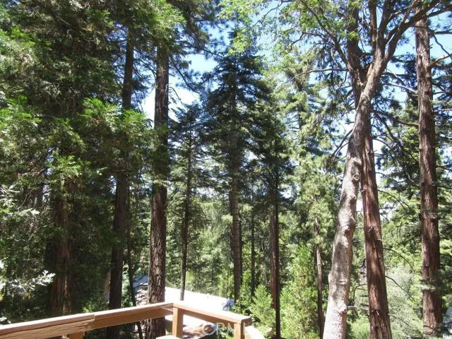 VIEW FROM DECK