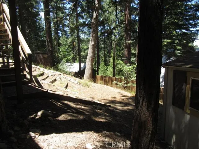REAR YARD