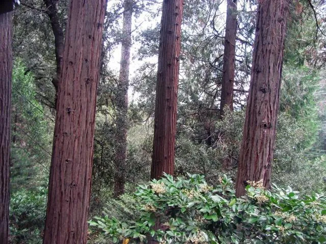 21978 Waters Drive, Crestline, California 92325