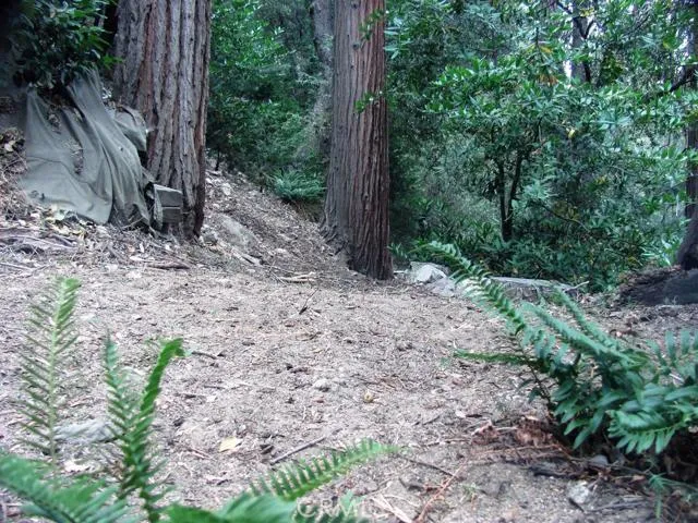 21978 Waters Drive, Crestline, California 92325