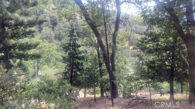 0 Alpen, Lake Arrowhead, California 92352
