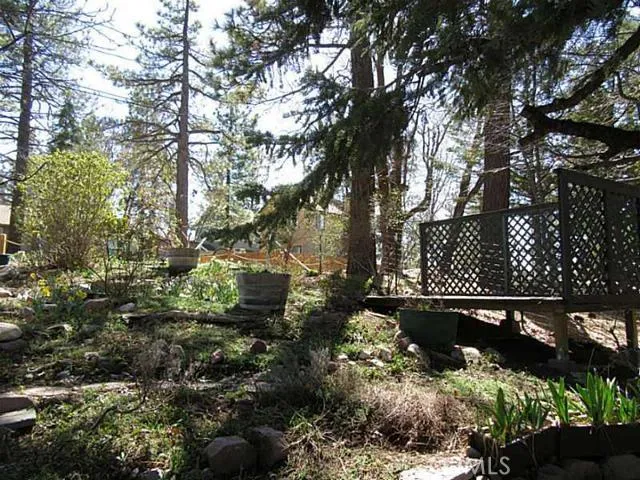 2453 Elko Drive, Running Springs, California 92382