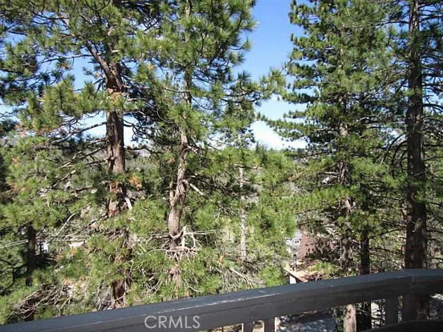 2453 Elko Drive, Running Springs, California 92382