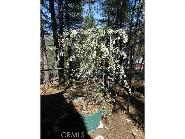 2453 Elko Drive, Running Springs, California 92382