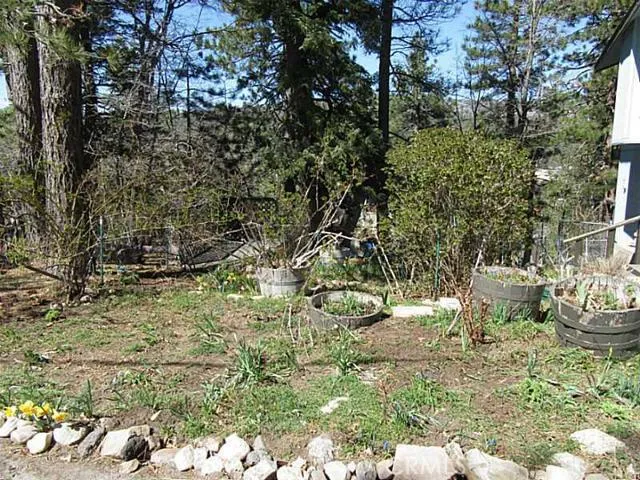 2453 Elko Drive, Running Springs, California 92382
