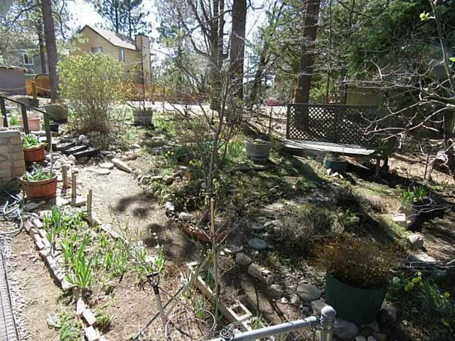 2453 Elko Drive, Running Springs, California 92382
