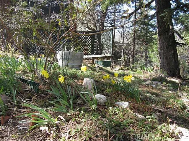 2453 Elko Drive, Running Springs, California 92382