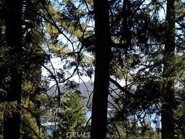 0 Summit Road, Lake Arrowhead, California 92352