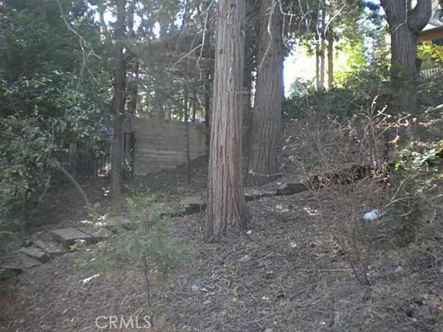 0 Summit Road, Lake Arrowhead, California 92352