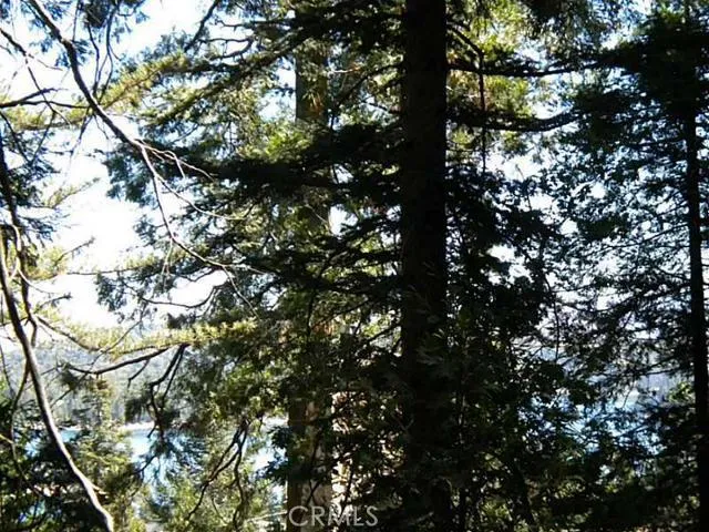 0 Summit Road, Lake Arrowhead, California 92352