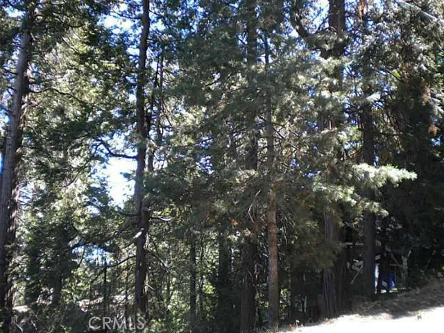 0 Summit Road, Lake Arrowhead, California 92352