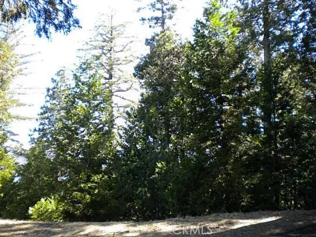 0 Summit Road, Lake Arrowhead, California 92352
