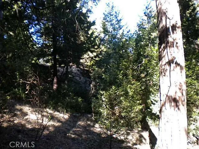 0 Summit Road, Lake Arrowhead, California 92352