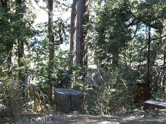 0 Summit Road, Lake Arrowhead, California 92352