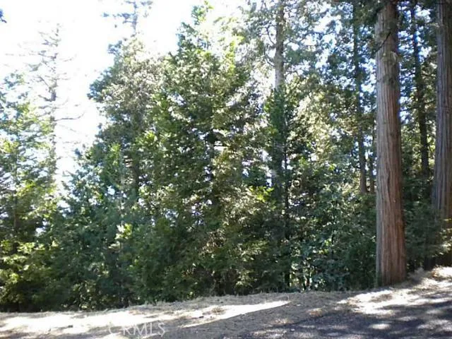 0 Summit Road, Lake Arrowhead, California 92352