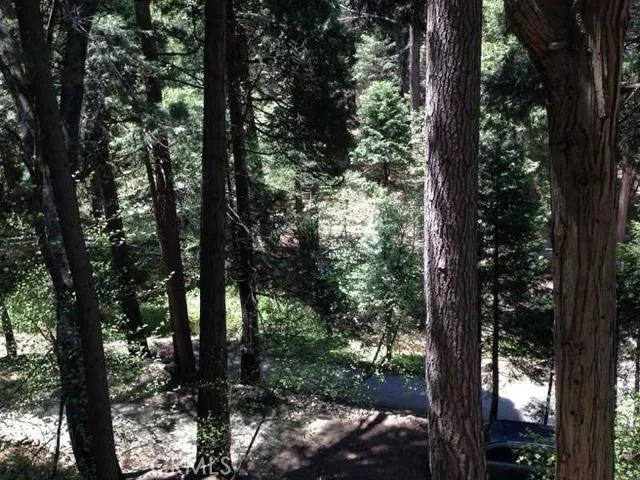523 Blue Jay Canyon Road, Lake Arrowhead, California 92317
