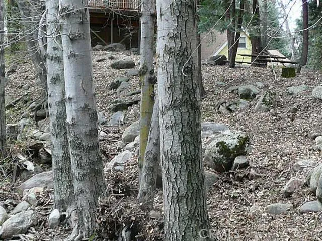 0 Dart Canyon Road, Crestline, California 92325