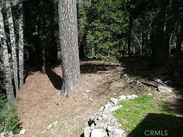 0 Dart Canyon Road, Crestline, California 92325
