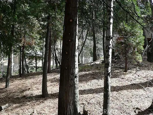 0 Dart Canyon Road, Crestline, California 92325