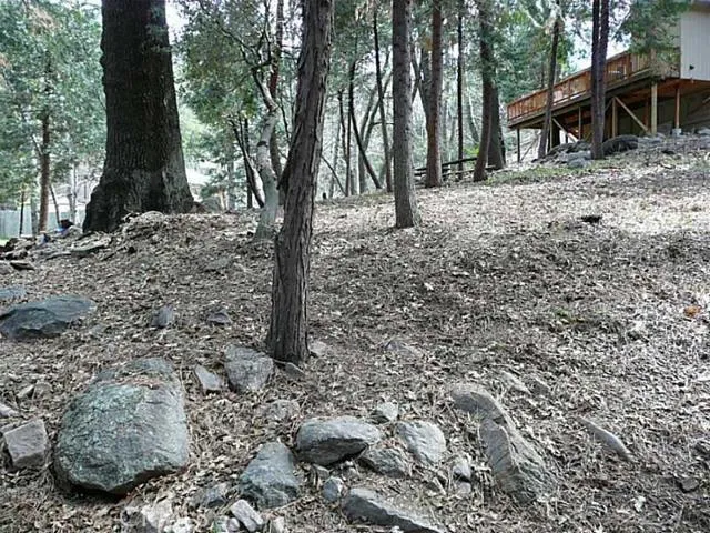 0 Dart Canyon Road, Crestline, California 92325