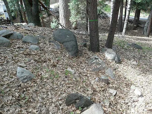 0 Dart Canyon Road, Crestline, California 92325