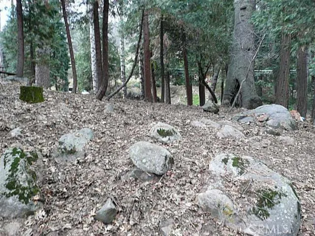 0 Dart Canyon Road, Crestline, California 92325