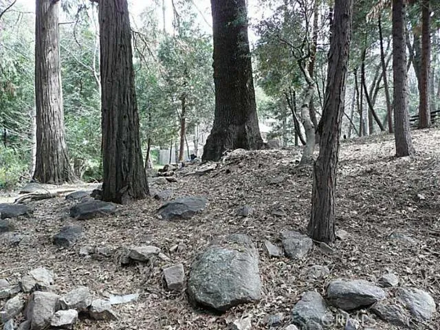0 Dart Canyon Road, Crestline, California 92325