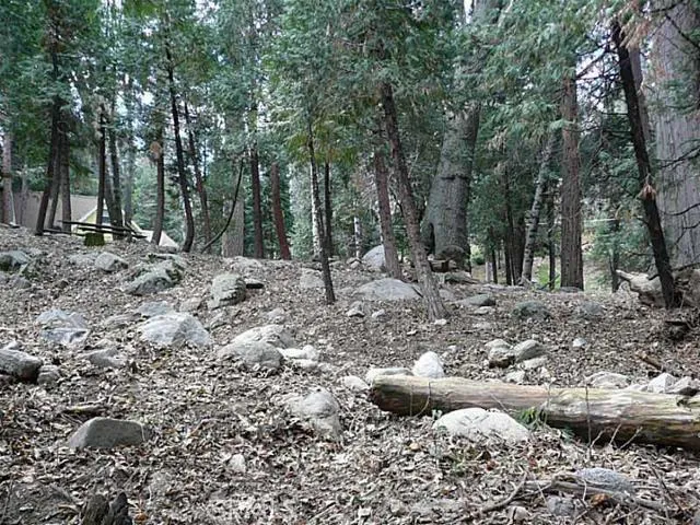 0 Dart Canyon Road, Crestline, California 92325