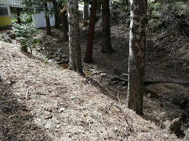 0 Dart Canyon Road, Crestline, California 92325