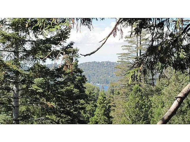 28875 Potomac Drive, Lake Arrowhead, California 92352