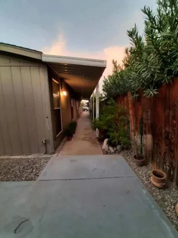 Side pathway with bushes