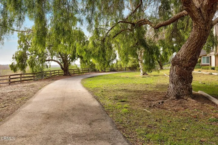 web_Walking Trail