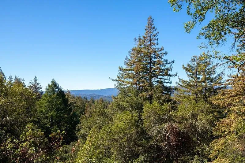 3500 Bear Canyon Road, Los Gatos, California 95033 home-pic-2