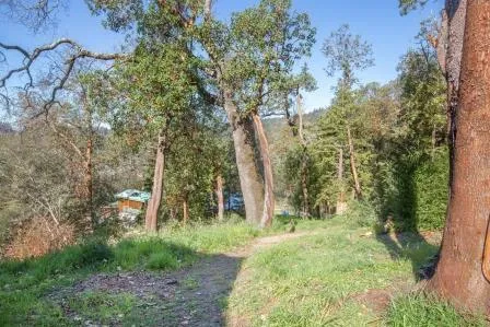 3500 Bear Canyon Road, Los Gatos, California 95033 home-pic-34