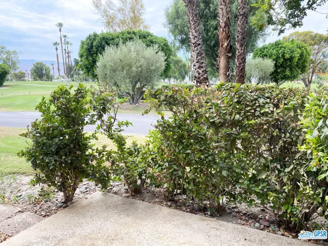 Patio 3