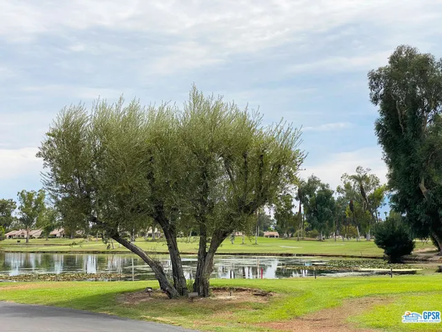 Pond