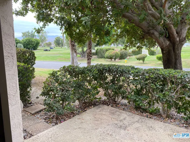 Patio 2