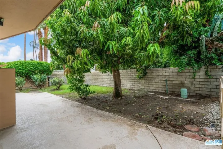 Side Yard 1