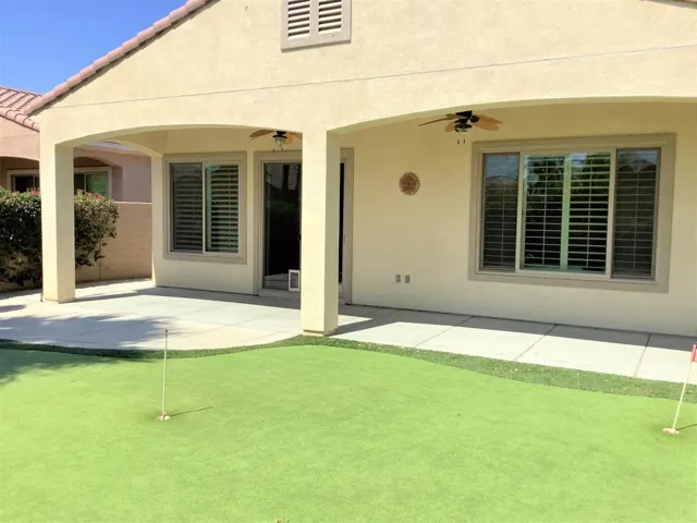 Backyard_3