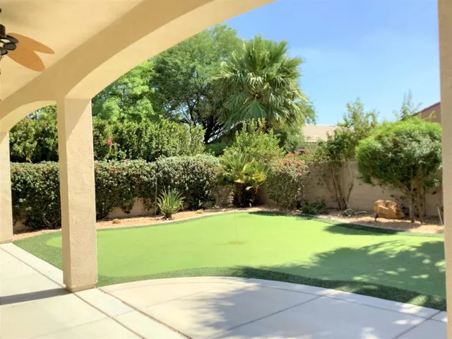 Backyard_2